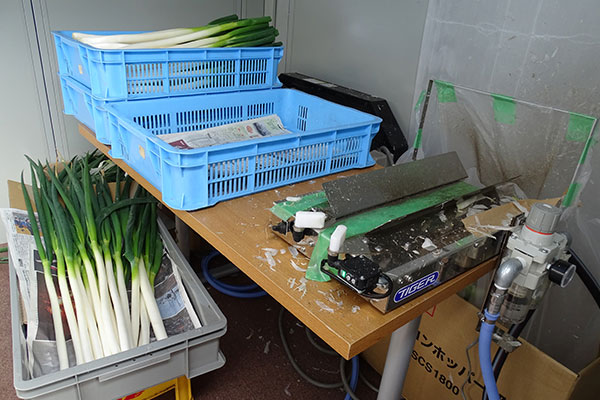 岡山県産白ネギ加工